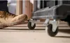 Chariot à Poignée Télescopique - PRO-STACK FATMAX - Voir les images du produit 13