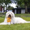Giocattolo per cani Beeztees Apawrol in peluche arancione Anteprima dell’immagine prodotto 2