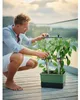 Gusta Garden CHARLY CHILY Standard samozavlažovací truhlík, Náhled obrázku produktu 17