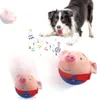 Generisch Interaktives Hundespielzeug, Magic Ball für Produktbild-Vorschau 1