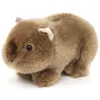 Uni-Toys Plüschtier Wombat EW18125 - Uni-Toys Naturgetreues Produktbild-Vorschau 1