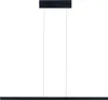 Paulmann LED Pendelleuchte Lesko mit RGBW und Tunable White Produktbild-Vorschau 2