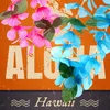 A close-up of colorful flower leis against an orange background with text. Produktbild-Vorschau