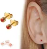 Medizinische Ohrstecker / Gesundheitsstecker / Produktbild-Vorschau 1