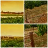Bild auf Leinwand - Leinwandbild - Landschaft Weinberg Produktbild-Vorschau 8