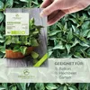 Brennnesselsamen - Heilkräuter Saatgut aus biologischem Produktbild-Vorschau 2