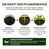 Pflanzenkohle Garten & Terra Preta Set – 50L Biochar EBC-e Produktbild-Vorschau 6