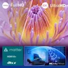 Philips 43PUS8500/12, 109,2 cm (43"), 3840 x 2160 px, QLED, Náhled obrázku produktu 15
