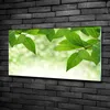 Tulup® Glas-Bild - 100x50 -Wandkunst - Wandbild hinter Produktbild-Vorschau 2