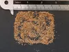 Papyrus (Cyperus papyrus) - 1 portie, samen Productafbeelding-voorbeeld 2