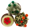 Kakteen-Set - 3 verschiedene Pflanzen im 5,5cm Topf mit Produktbild-Vorschau 2