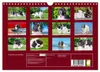 Traumhund Landseer (Wandkalender 2027 DIN A4 quer), Produktbild-Vorschau 2