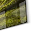 DEQORI Glasbild Echtglas 100x50 cm 'Sattgrüne Waldkulisse' Produktbild-Vorschau 5
