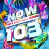 Various: Now Thats What I Call Music! Vol.103 Produktbild-Vorschau 1