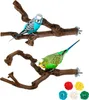 2 Stück Natur Sitzstangen Set für Vögel, Wildes Traubenholz Produktbild-Vorschau 1