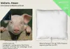 Wallario Premium Kissen, weiche Oberfläche, mit Motiv Süßes Produktbild-Vorschau 2