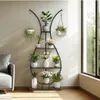 A plant stand filled with various plants is placed next to a window in a well-lit room. Náhled obrázku produktu