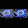Xiaomi TV S Mini LED TV S Mini LED 75 2025 190,5 cm (75") Anteprima dell’immagine prodotto 7