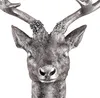 XXL Hirschgeweih Hirschkopf Geweih 10-Ender Silber Optik 48x32x61cm Skulptur Produktbild-Vorschau