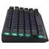 A black mechanical keyboard with RGB LED lighting is shown against a white background. Produktbild-Vorschau