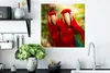 MuchoWow® Poster Papageien - Vögel - Dschungel 50x50 cm - Produktbild-Vorschau 3