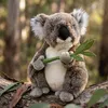 Plyšový medveď koala 30 cm ECO-FRIENDLY Náhľad obrázku produktu 4