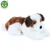 A plush dog toy lying on a white background. Produktbild-Vorschau
