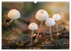 Kunstgalerie Wald - die verborgene Welt der Pilze Produktbild-Vorschau 5
