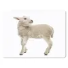 MuchoWow® Mauspad Mousepad Schaf - Wolle - Lamm 23x19 cm - Produktbild-Vorschau 1