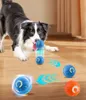 2 Stück Ball Interaktives Hundespielzeug Produktbild-Vorschau 1