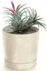 Pot de fleurs BETON EFFECT couleur crème avec socle Voir les images du produit 2