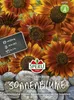 SPERLI Sonnenblumensamen Rote Sonne Helianthus annuus 30 Produktbild-Vorschau 3