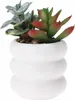 Sztuczna roślina w ceramicznej doniczce 14 cm Podgląd zdjęcia produktu 1