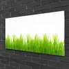 Acrylglasbilder 100x50 Wandbild Druck Gras Natur Produktbild-Vorschau 2