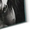 DEQOART Hybrid Leinwand Bild 60x90 cm 'Seelenblick des Produktbild-Vorschau 5
