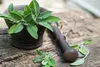SAFLAX  -- Salvia - 60 semi - Con substrato - Salvia Anteprima dell’immagine prodotto 4