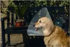 Beeztees - Hundekragen - Kunststoff - 38-44x20 cm Produktbild-Vorschau 1