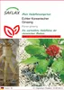 SAFLAX - Heilpflanzen - Echter Koreanischer Ginseng - 10 Produktbild-Vorschau 1