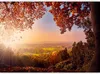 Selbstklebende Folie Fototapete - Autumn delight - sunny Produktbild-Vorschau 5