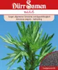 Dürr-Samen - Beifuß - Saatgut - 0173 Produktbild-Vorschau 2