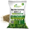 Greenyp® Turbo Nachsaat I RSM Rasensamen Nachsaat 3.2 I Produktbild-Vorschau 1