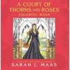A Court of Thorns and Roses Coloring Book Voir les images du produit 2