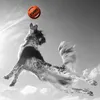 Zeus Bomber Durafoam Spielball für Hunde, 8 cm Produktbild-Vorschau 7