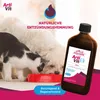 VITAR Veterinae ArtiVit Sciroppo 500 ml articolazioni cani Anteprima dell’immagine prodotto 3