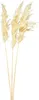 Deko Pampasgras Creme 95cm 3 St - Trockenblumen Boho Deko, Produktbild-Vorschau 3