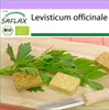 SAFLAX - BIO - libeček - Levisticum officinale - 100 Semena Náhled obrázku produktu 10