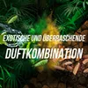 Axe Deospray Wild Green Mojito & Cedarwood ohne Produktbild-Vorschau 9