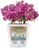 LECHUZA-Pot de plantes CLASSICO Color 18 Blanc | Pot de Voir les images du produit 4