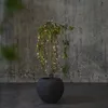 LED Lichterkette - AKKU - 160 warmweiße LED -  L: 11,2m -  Batterie - Timer - outdoor - schwarz Produktbild-Vorschau