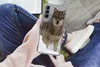 MuchoWow® Handyhülle Schutzhülle Hülle für Samsung Galaxy Produktbild-Vorschau 3